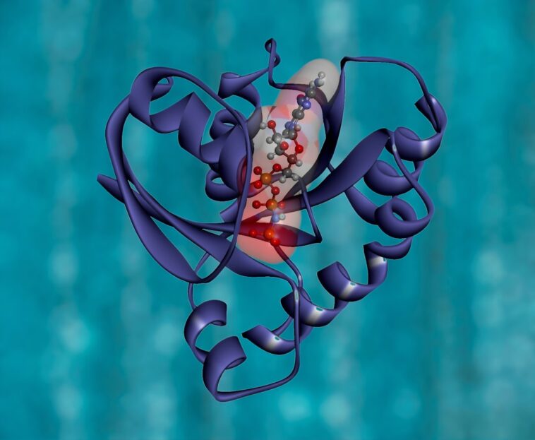 Photo Genetic testing